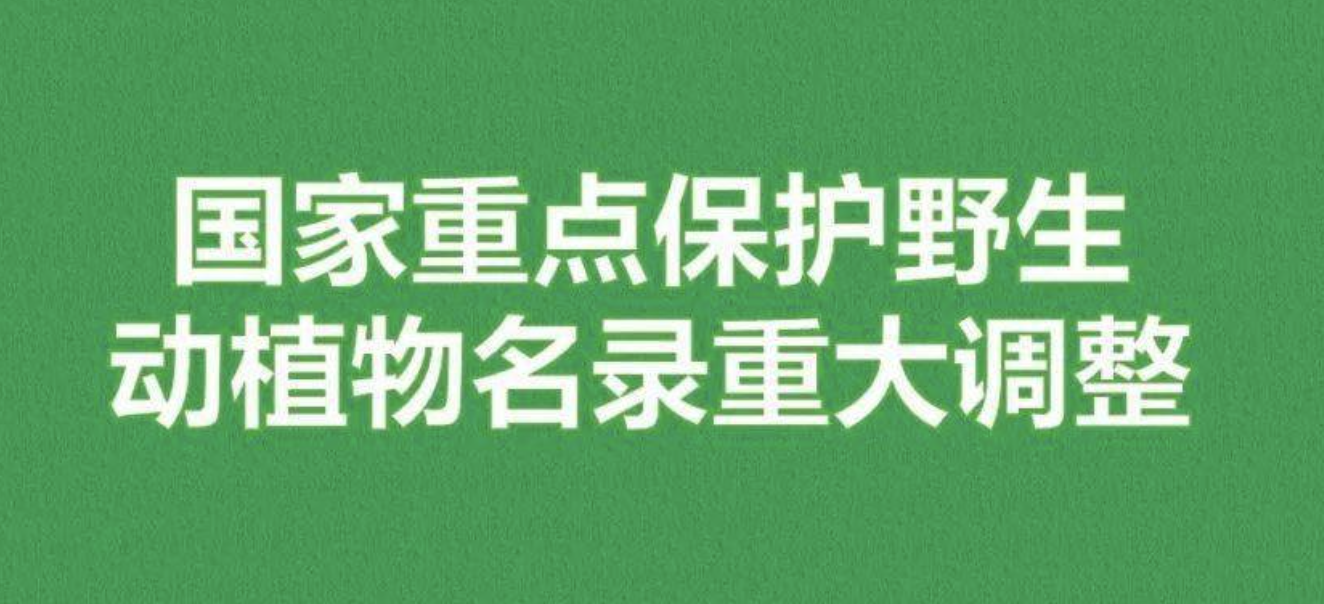 重磅！新版國(guó)家重點(diǎn)保護(hù)野生植物名錄公布，58種/屬列入一級(jí)保護(hù)，值得收藏