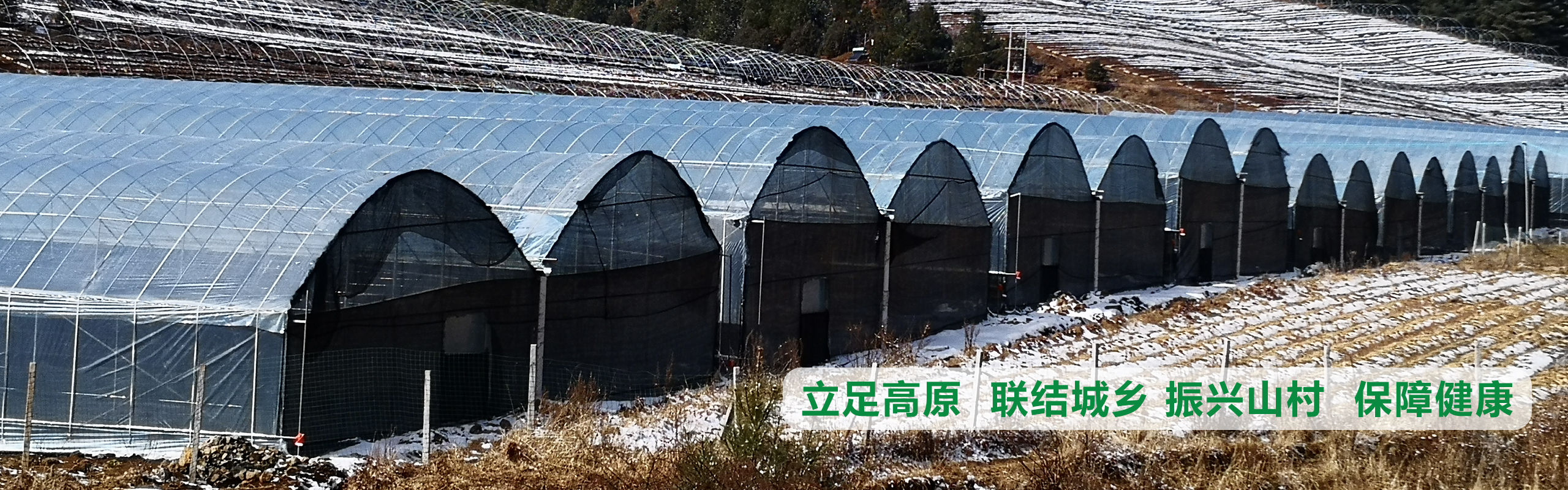 立足高原、聯(lián)結(jié)城鄉(xiāng)、振興山村、保障健康